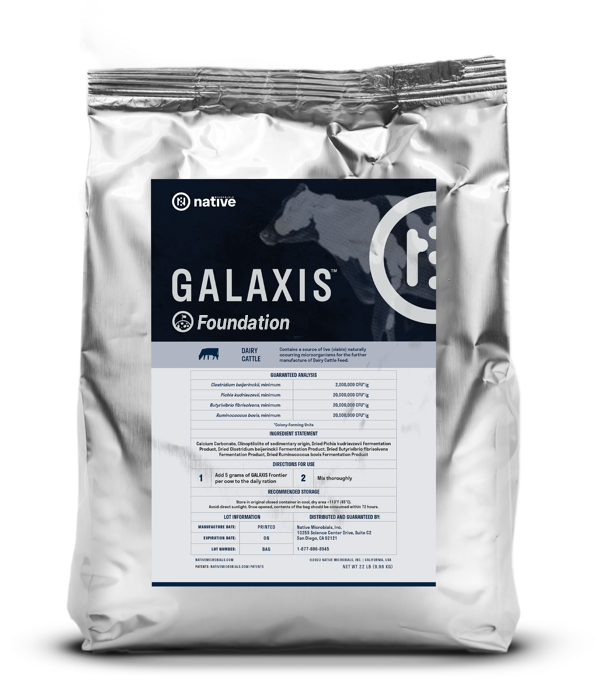 Galaxis Foundation