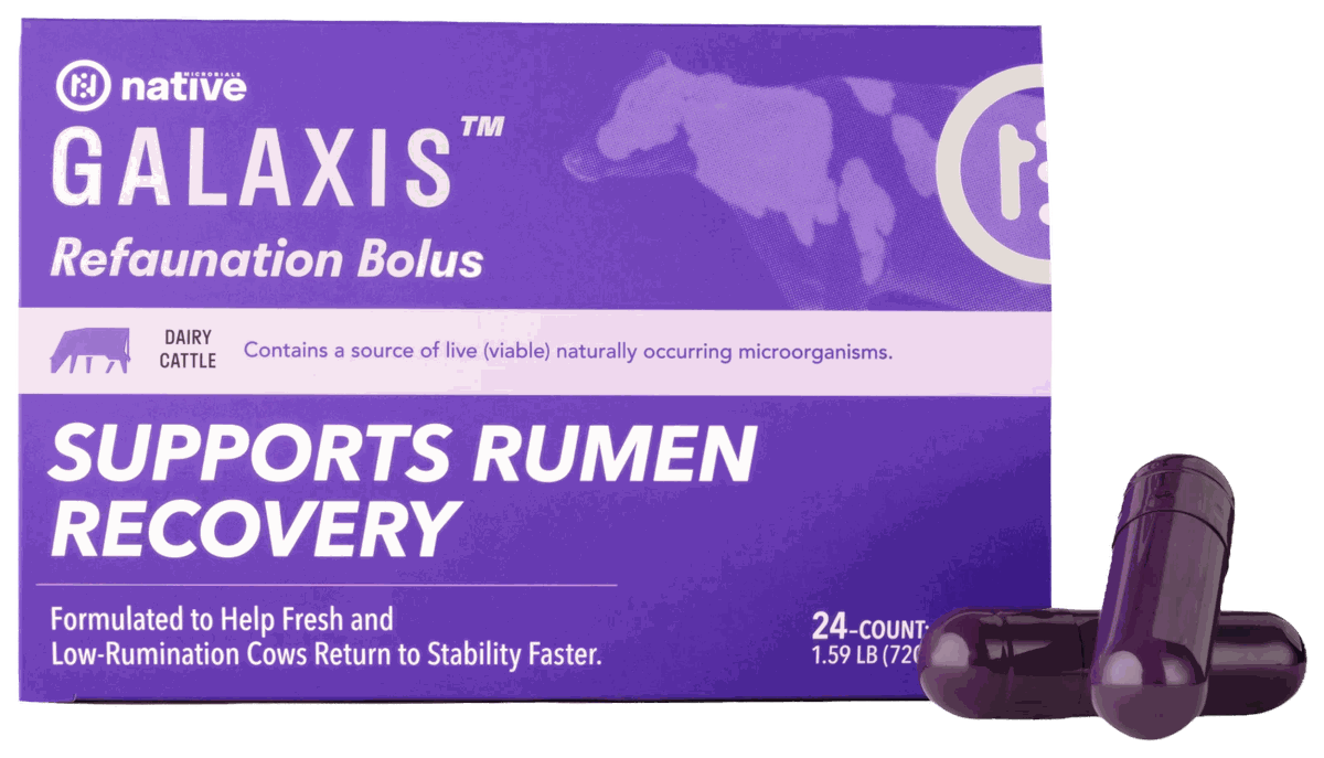 Galaxis Refaunation Bolus