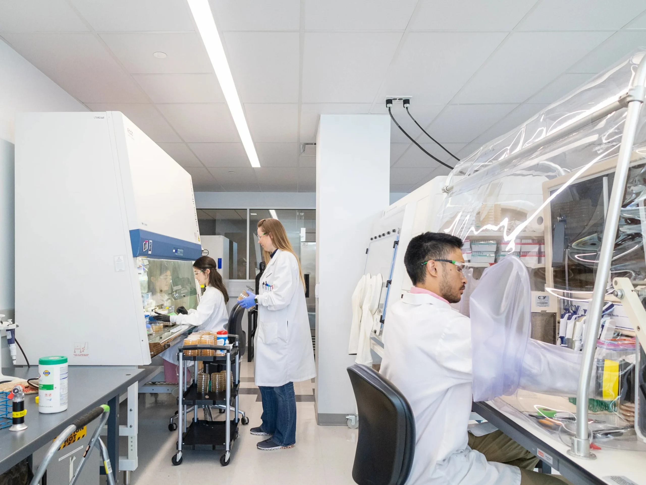 Journey of Our Dairy Trials