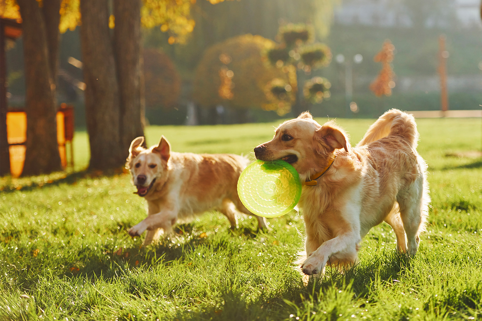 Native Microbials Products